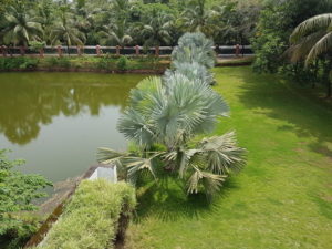 20170813_135030