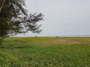20170813_142901
