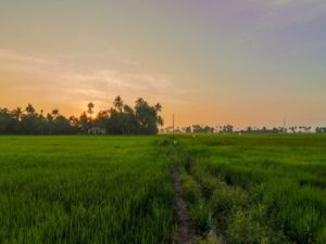26-Atherya-104