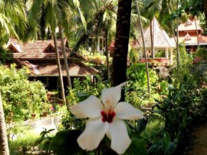 54801c92863ceaccomodation12-file0