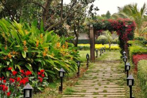gallery-image-29
