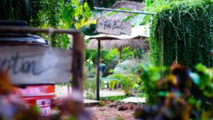 juice-bar-and-replica-beach_