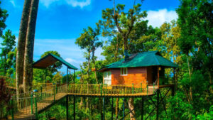 Kaivalyam-Tree-top-Studio-Cottage-1