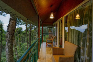 forest-duplex-1