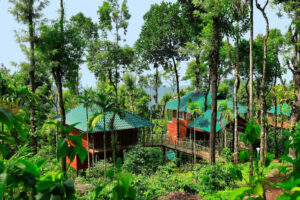 forest-duplex-2