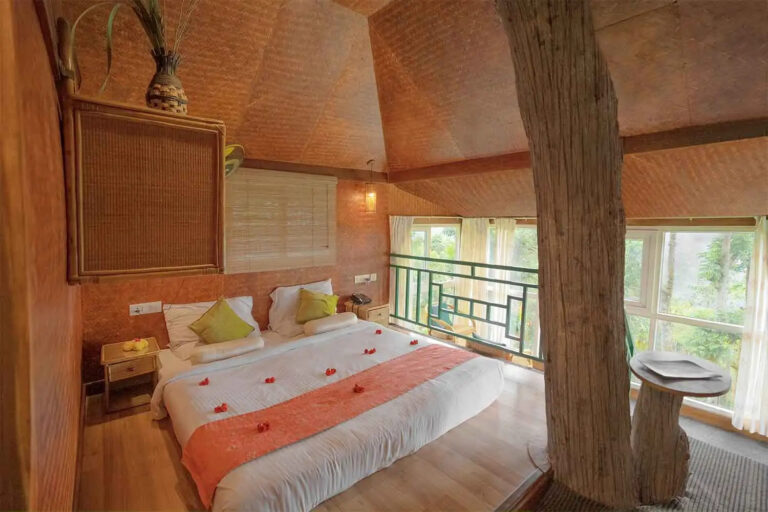 FOREST BATHING STUDIO