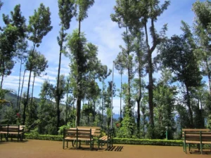 kaivalyam-retreat (15)