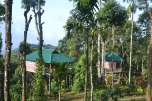 kaivalyam-retreat (5)
