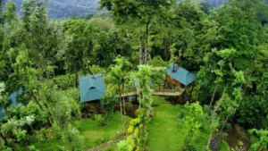 kaivalyam-wellness-retreat (2)