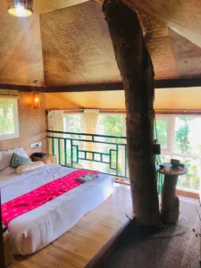 kaivalyam-wellness-retreat (4)