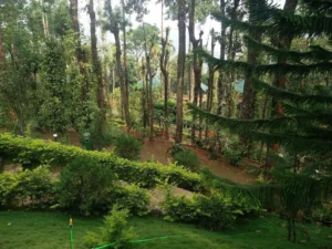 kaivalyam-wellness-retreat (6)
