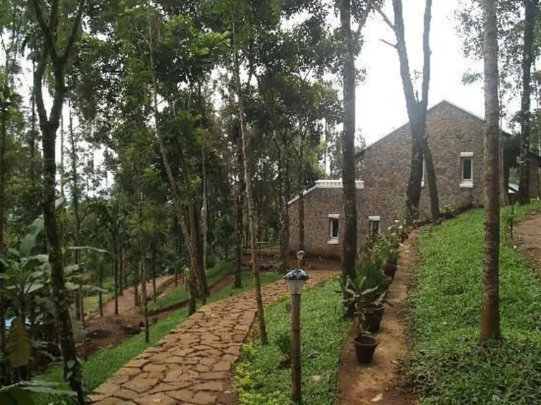 pathway-to-lower-lvl