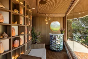 Crystal-Spa-Ayurveda-wellness-Resort-Phuket (9 of 54)-X3